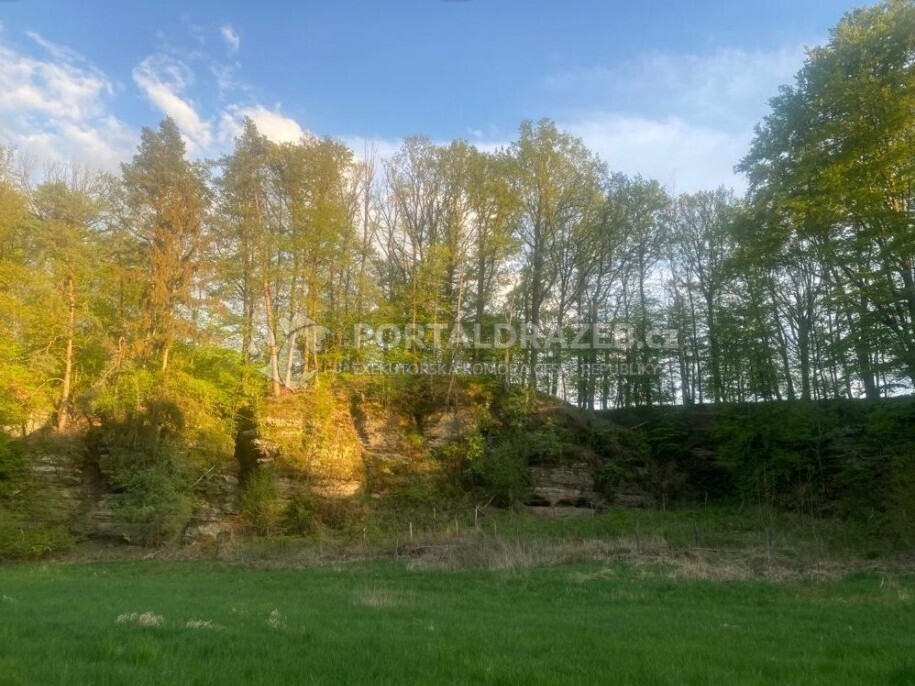 Pozemek o velikosti 3829m2, Tachov u Doks