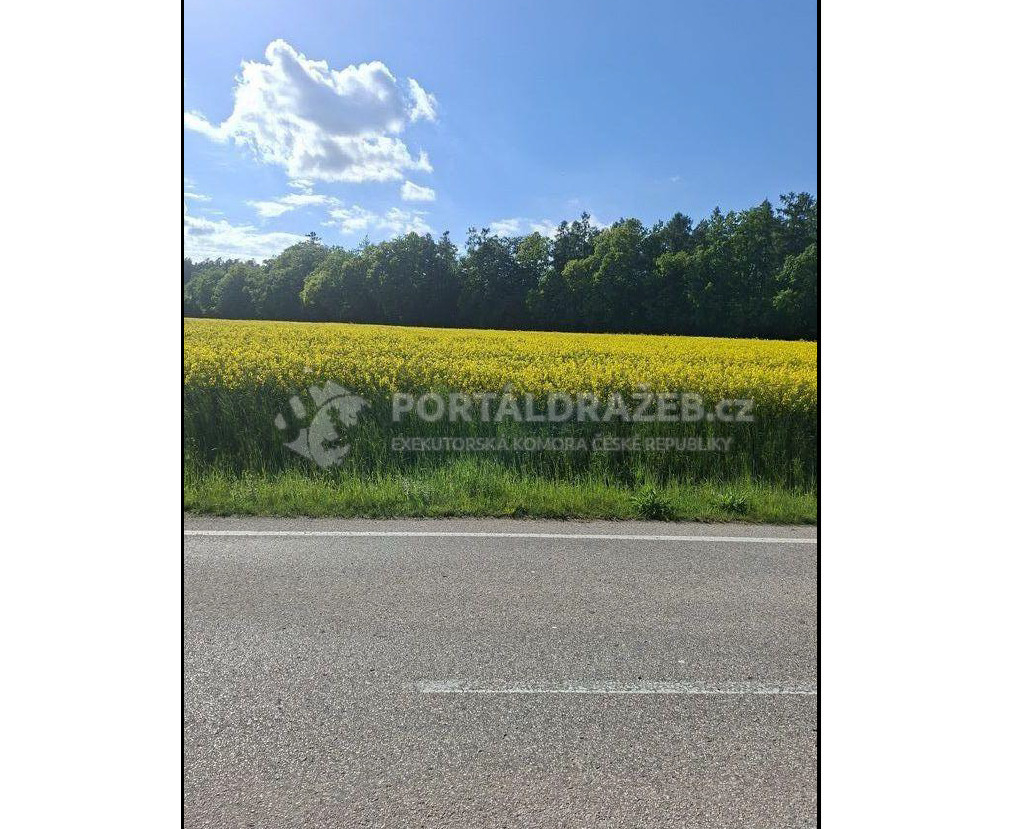 Pozemek parc.č.1170/4, o výměře 2953 m2 – orná půda pro obec a  k.ú. Velká Polom