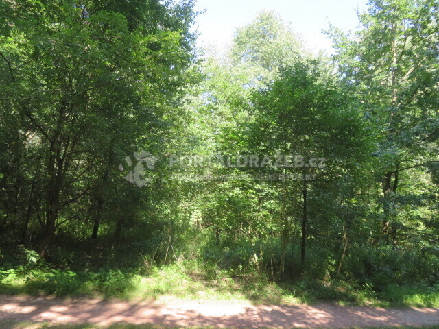 1/4 pozemků v obci Mutěnice, okres Hodonín