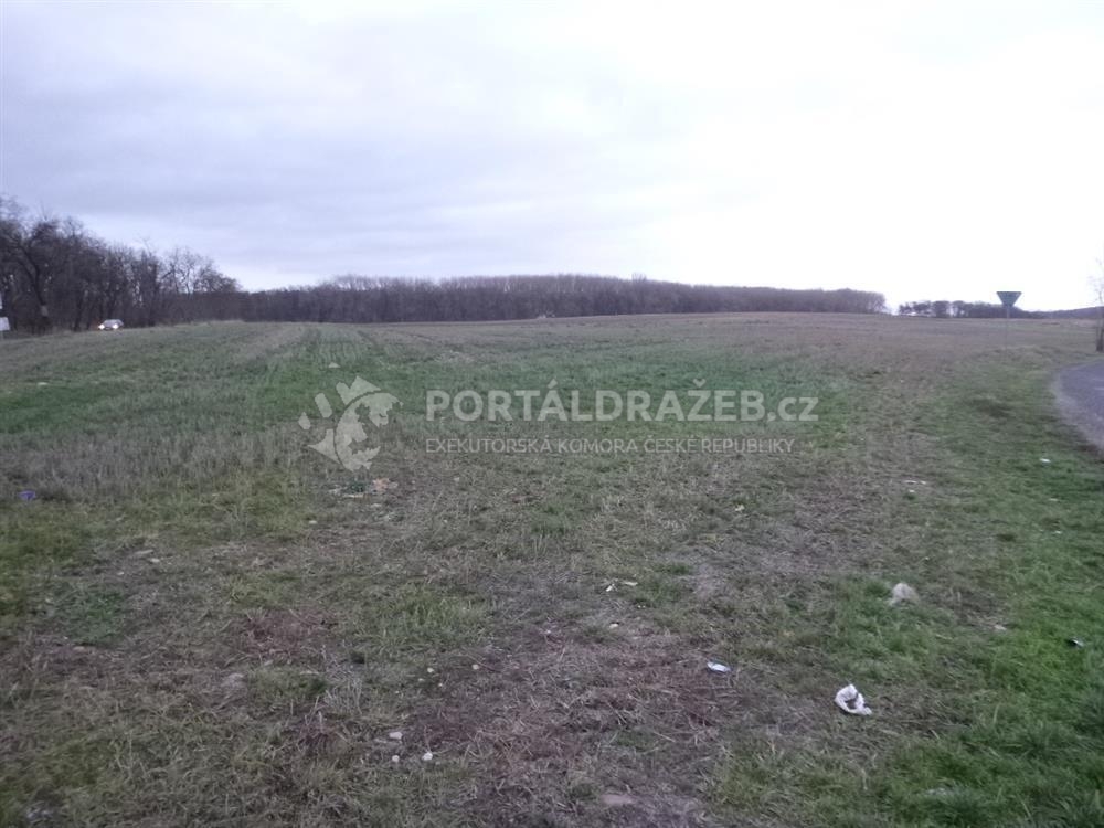 Dražba podílu id. 1/2 na orné půdě v obci Dobříň,