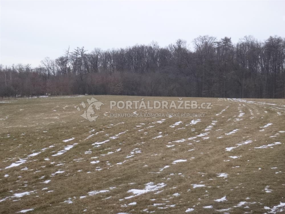Dražba spoluvlastnického podílu ve výši 1/9 na