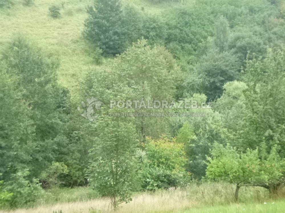 ELEKTRONICKÁ DRAŽBA! Pozemky - trvalý travní