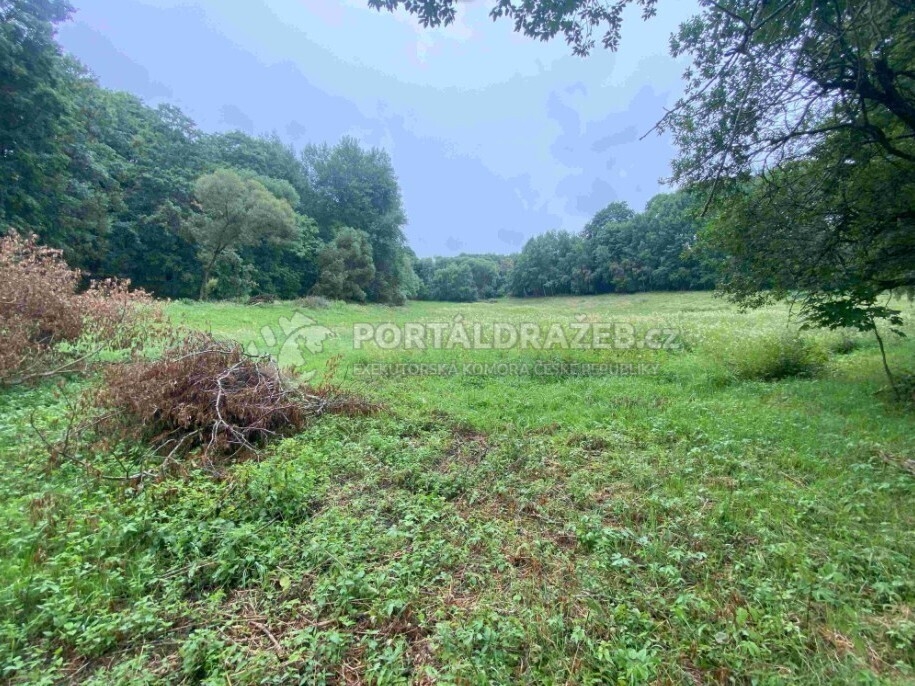 Pozemek o velikosti 1500m2, Vidžín