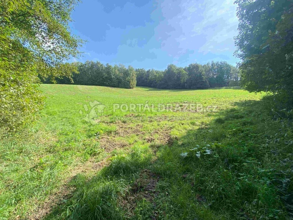 Pozemek o velikosti 10593m2, Sobotín