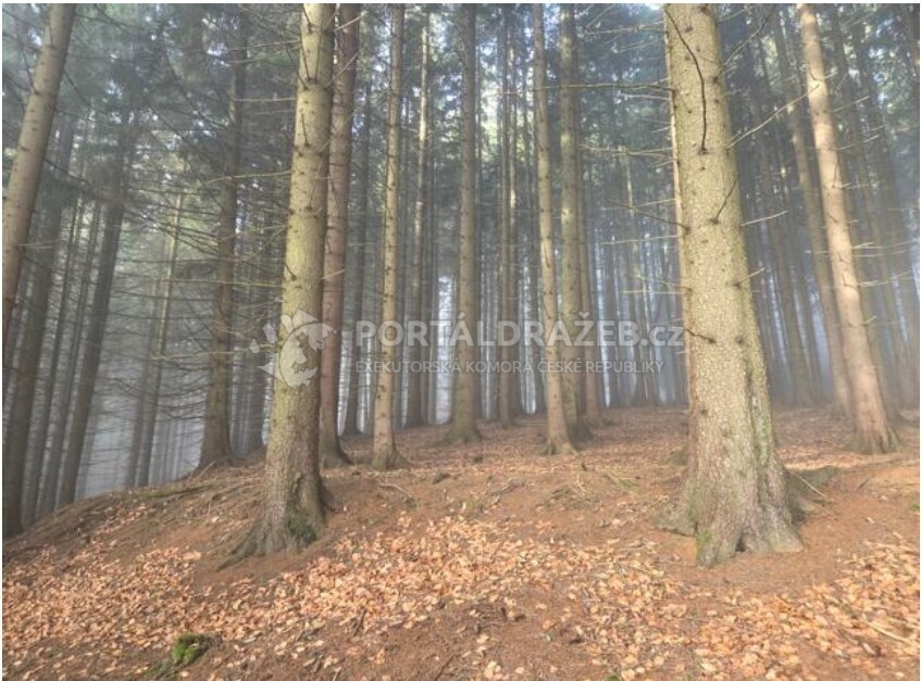 Pozemek o velikosti 4284m2, Valašské Meziříčí, podíl 1/2
