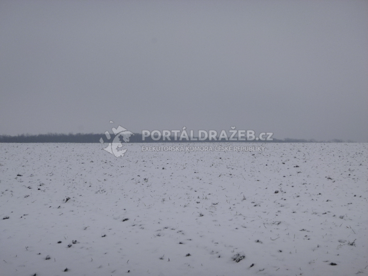 Podíl 1/6 na pozemku v k.ú. Ředhošťa Radešín u