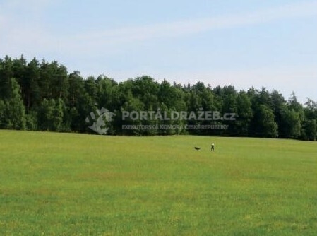 podíl 1/3 pozemku v k.ú. Cvikov, okres Česká Lípa