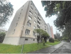 byt - Karlovy Vary-Rybáře, podíl povinného ve výši 1/4.