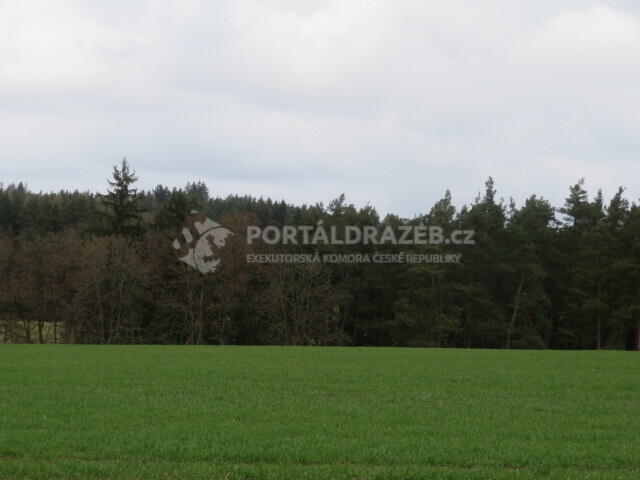 Dražba spoluvlastnického podílu id. 1/2 na zemědělských pozemcích v Olešné