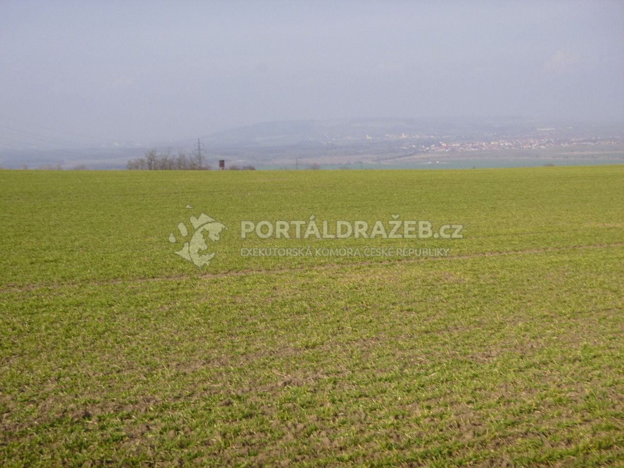 Podíl 1/16 na pozemku v k.ú. Uherčice u Hustopečí, okr. Břeclav