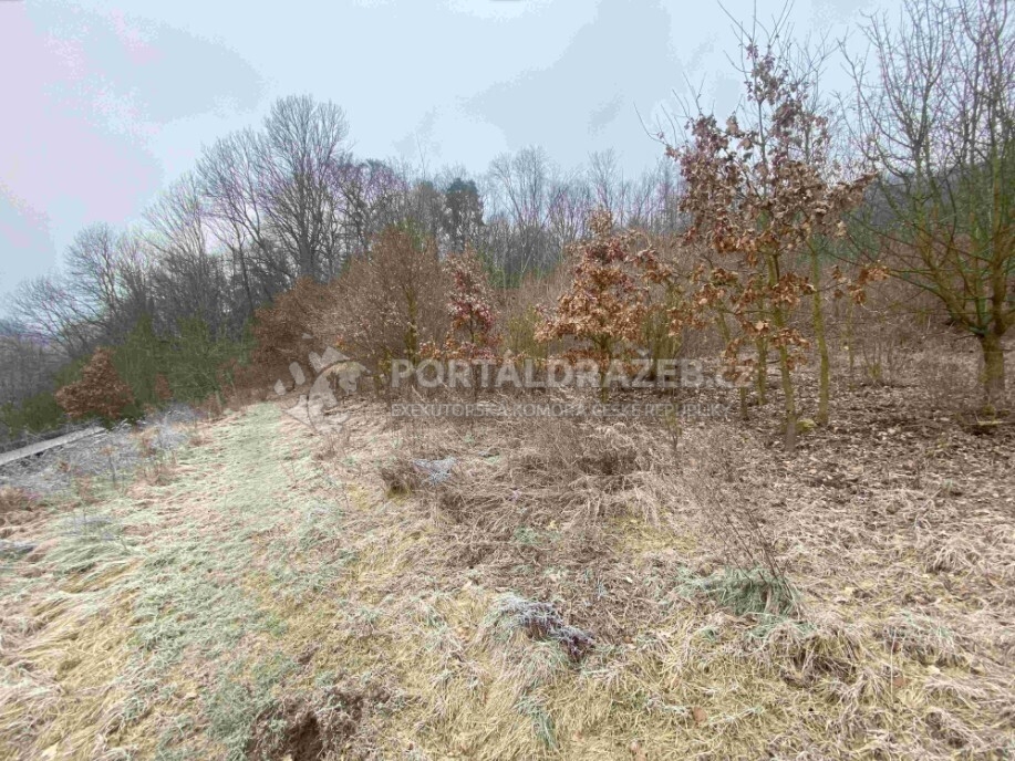 Pozemek o velikosti 3310m2, Ryjice
