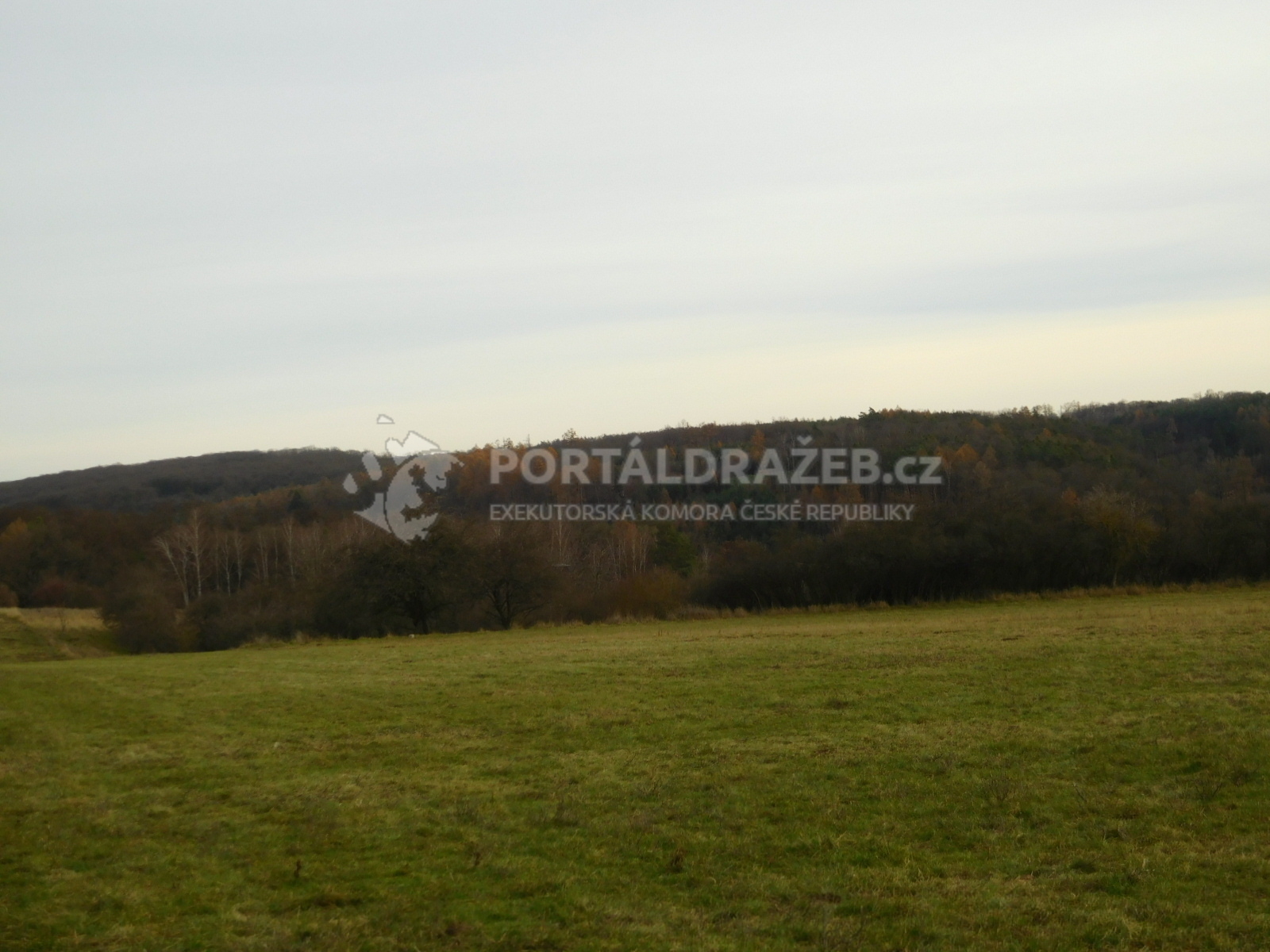 Dražba spoluvlastnického podílu id. 1/24 na