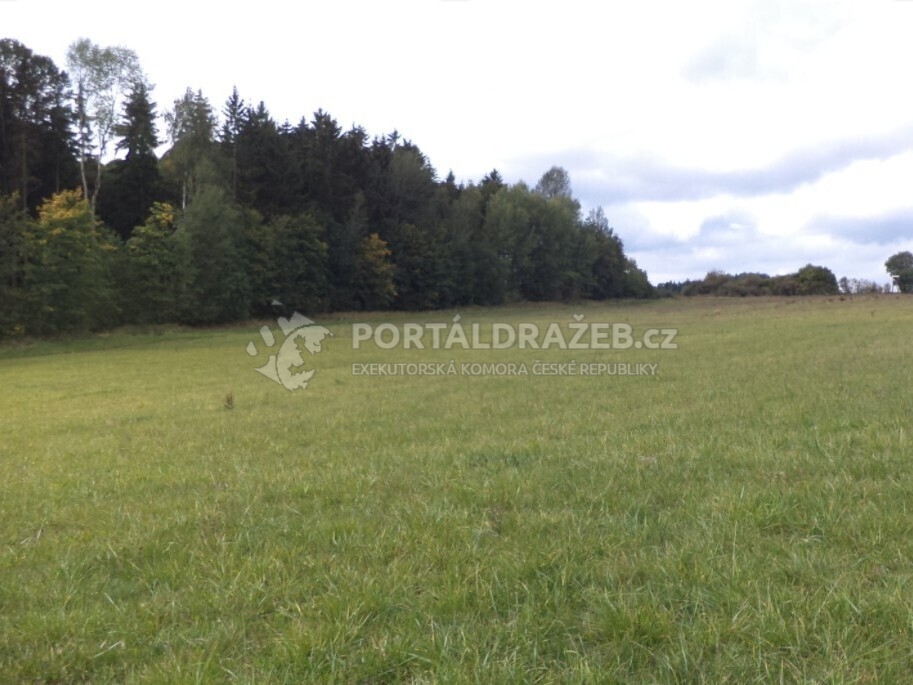 Pozemek o velikosti 5912m2, Tachov2
