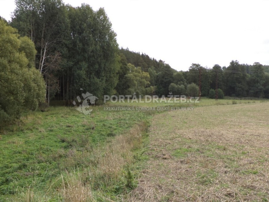 Pozemek o velikosti 58887m2, Tachov4